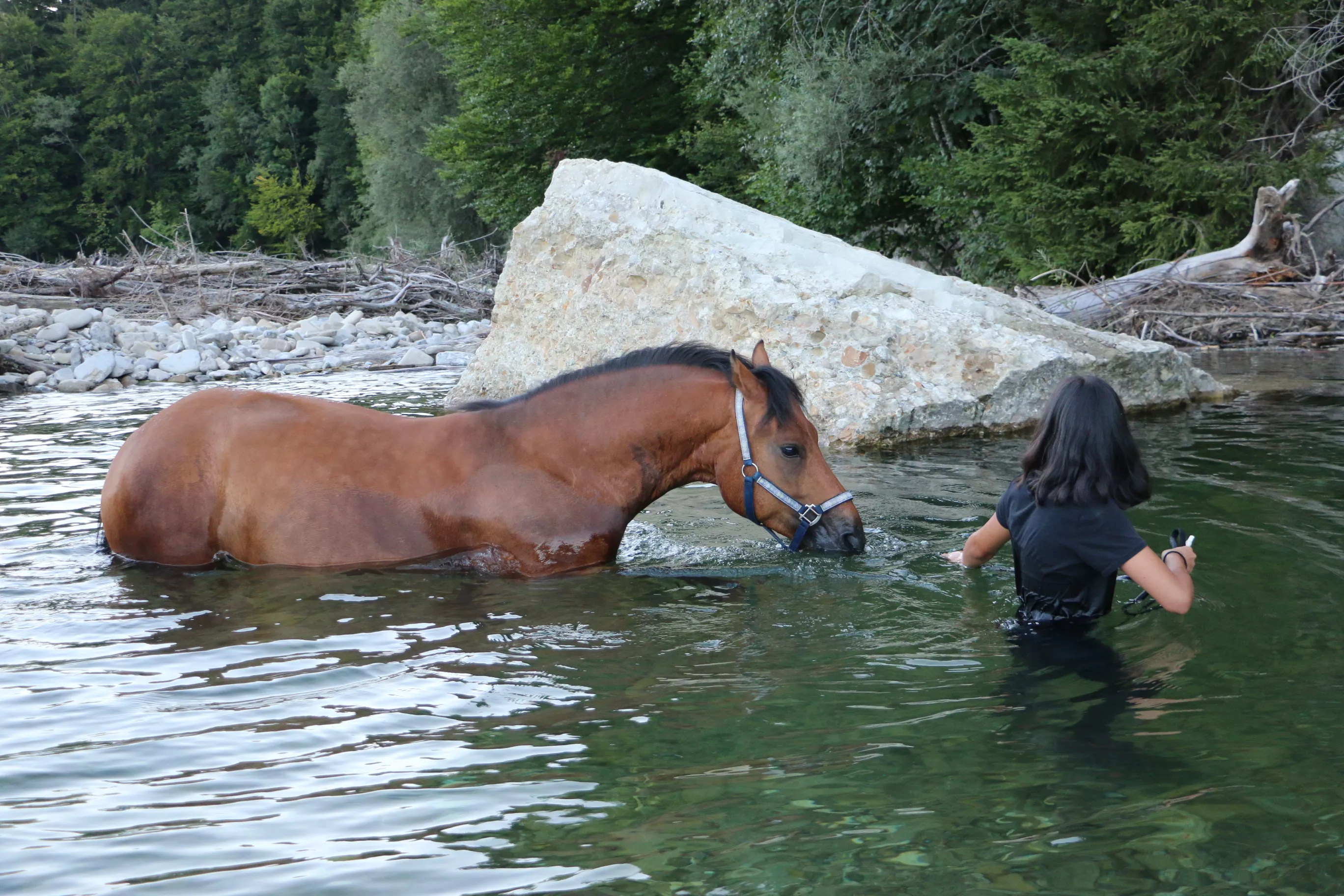 Pferd und Frau im Wasser Pferd und Frau im Wasser