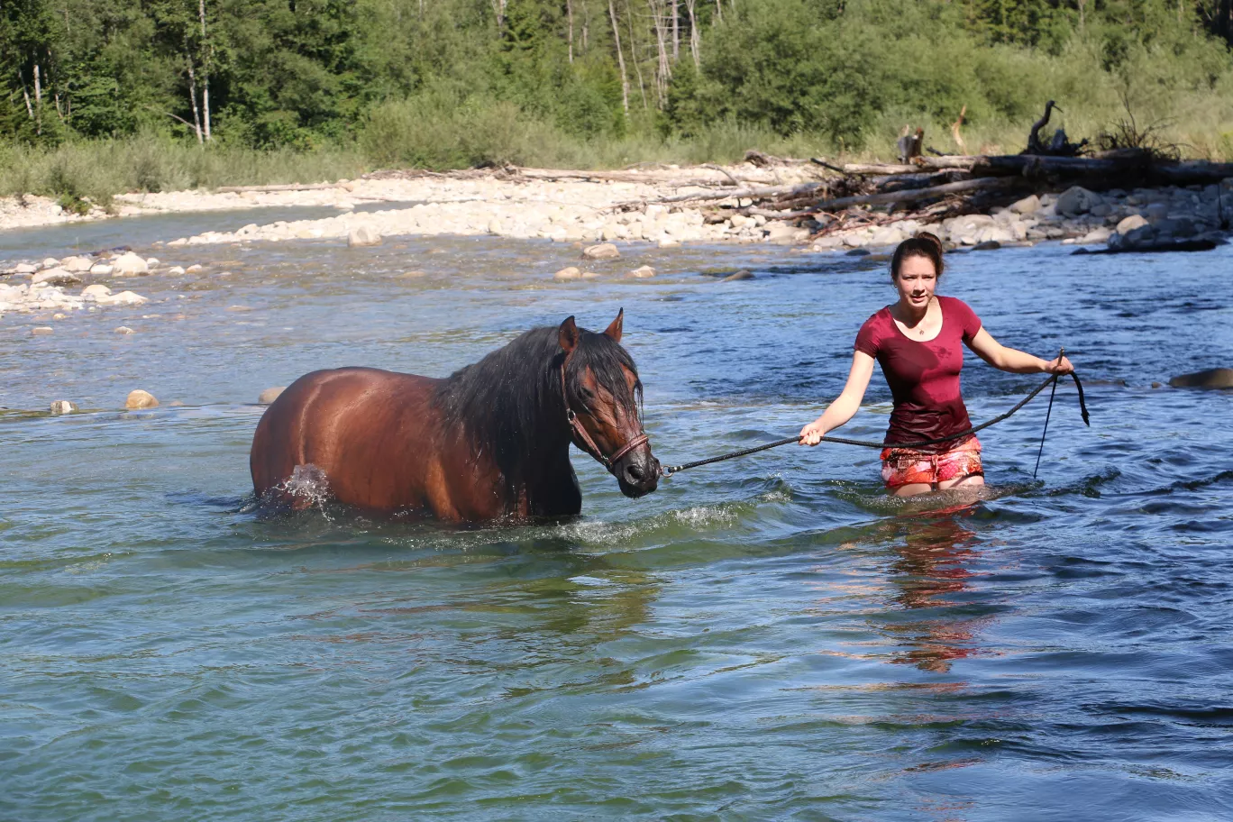 Pferd und Frau im Wasser