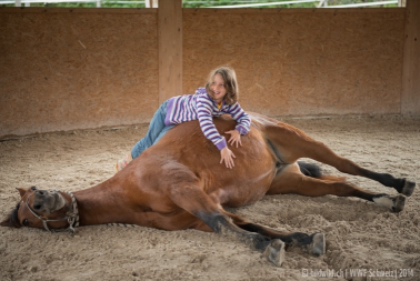 Pferd mit Kind