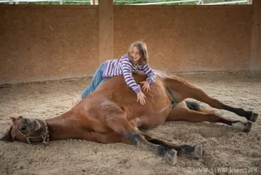 Kind mit Pferd Kind mit Pferd